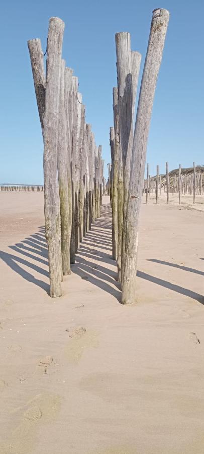 Les Salines Appartamento Oye-Plage Esterno foto